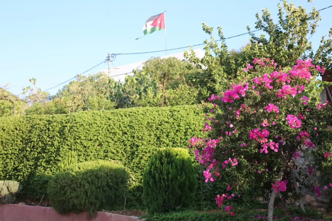 Land for sale in Al-Mastaba – photo 3
