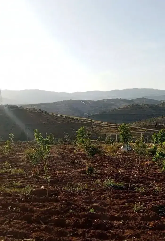 أرض للبيع في Unaybah – صورة 3