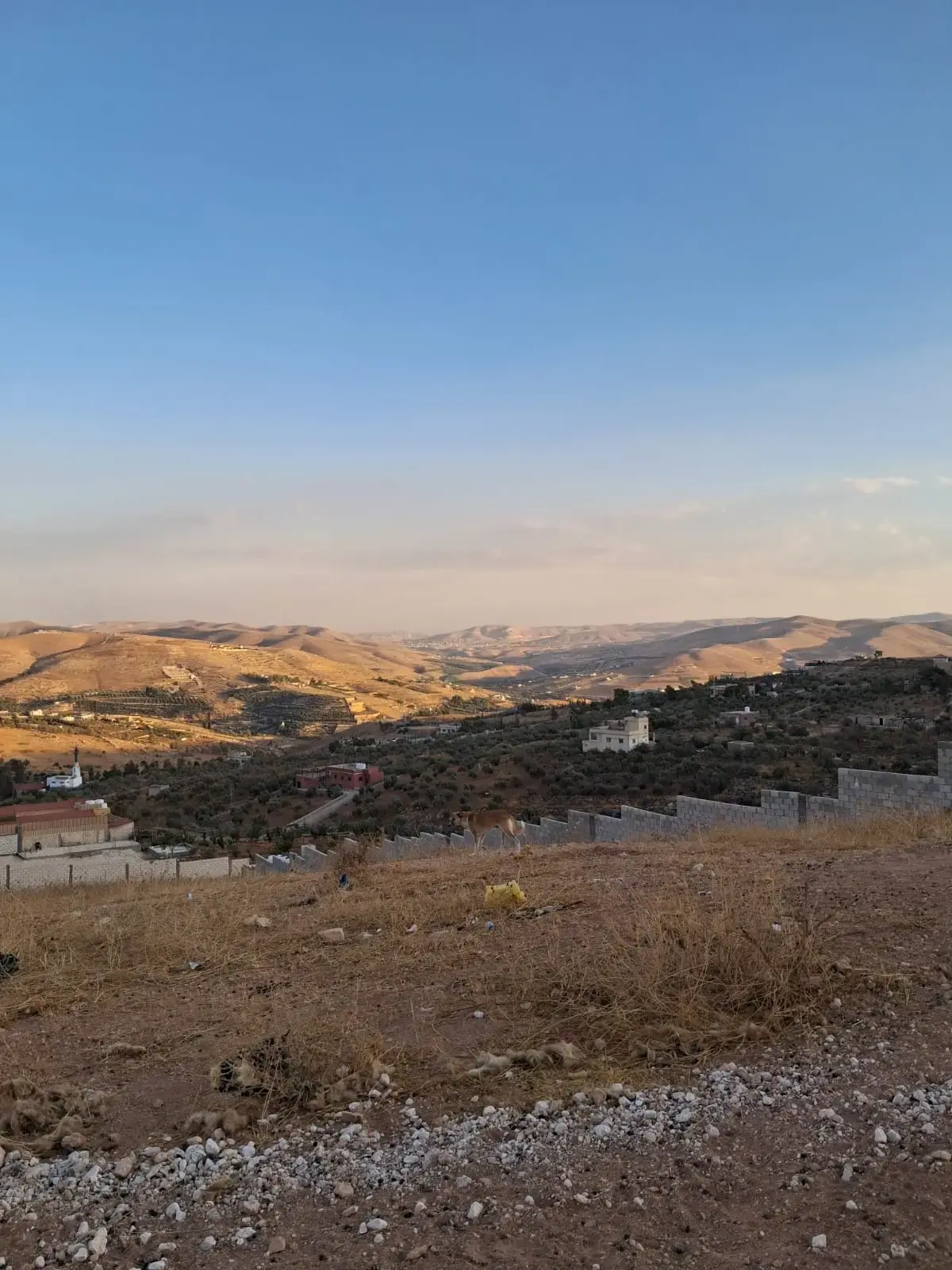Land for sale in Unaybah – photo 6