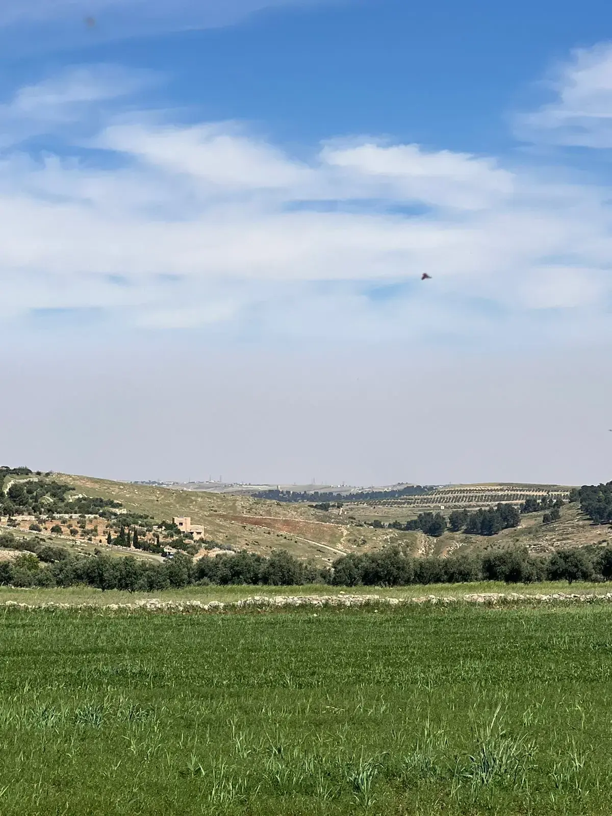 Land for sale in Unaybah – photo 2