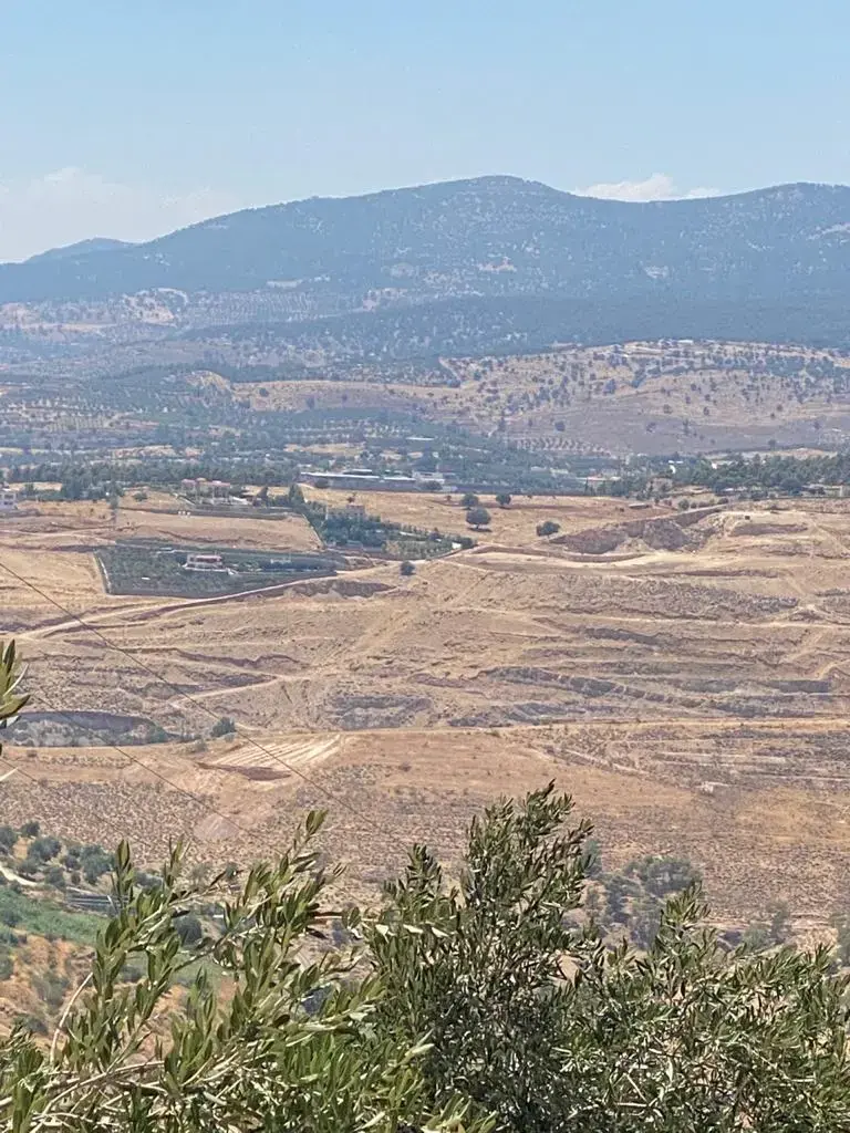 Land for sale in Unaybah – photo 3