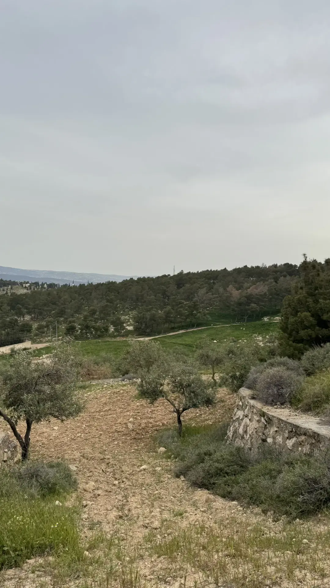 Land for sale in Tal Al-Rumman – photo 3