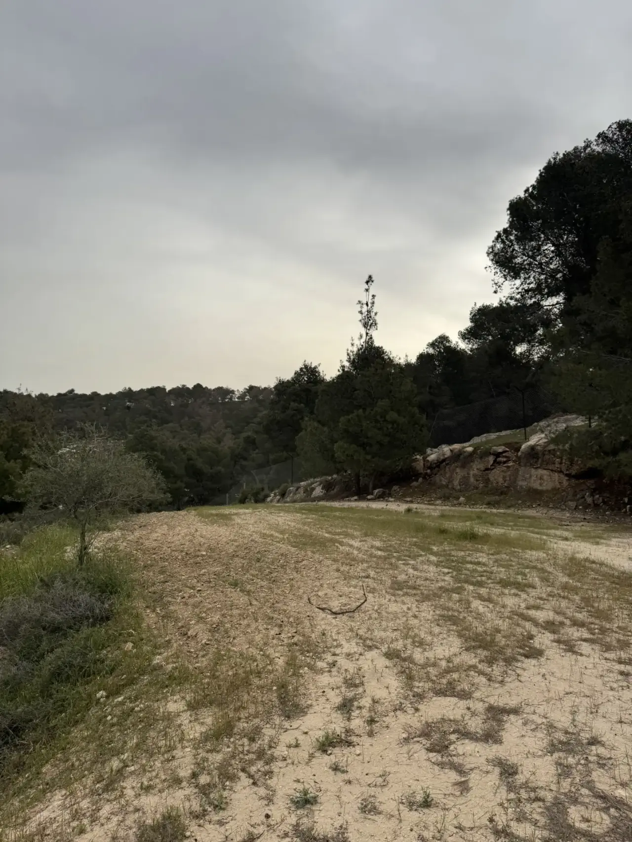 Land for sale in Tal Al-Rumman – photo 4