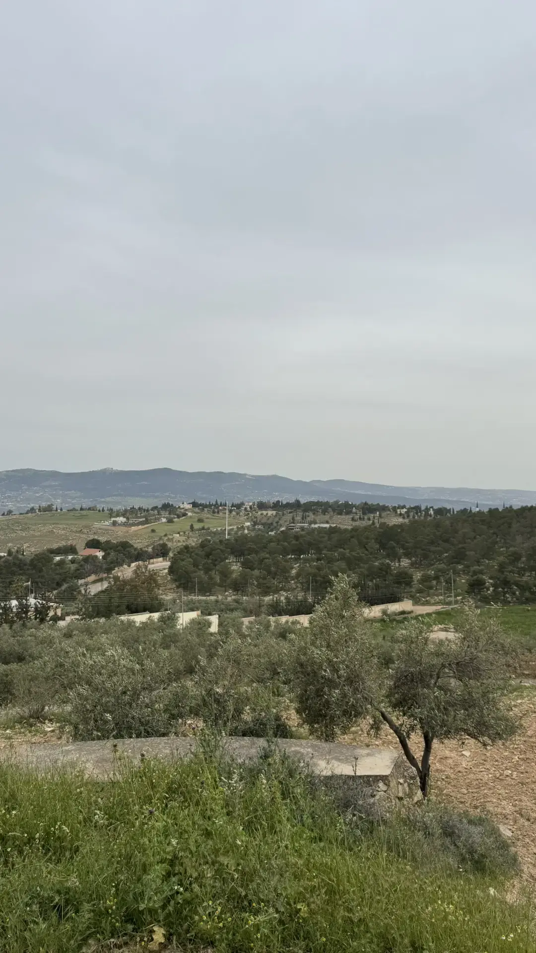 Land for sale in Tal Al-Rumman – photo 2