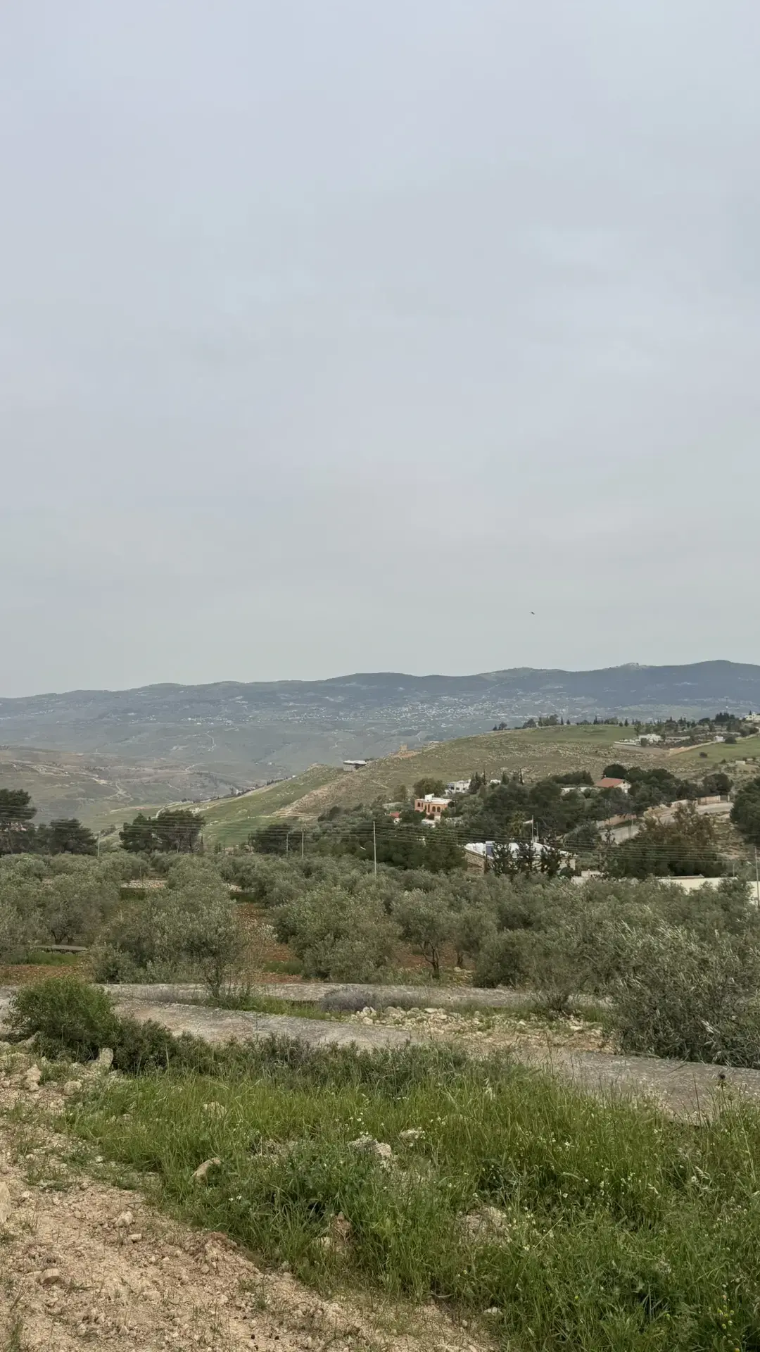 Land for sale in Tal Al-Rumman – photo 5
