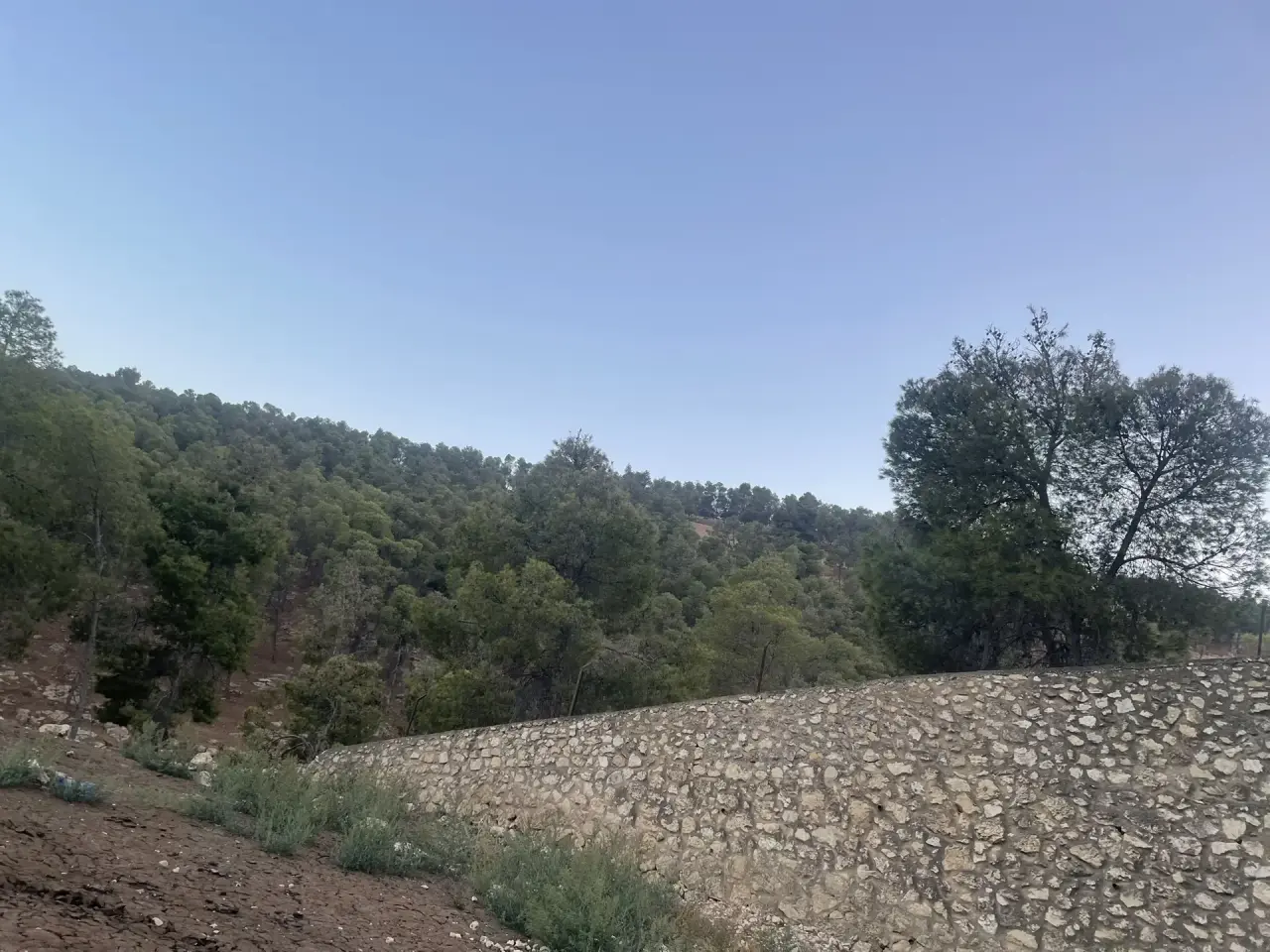 أرض للبيع في Tal Al-Rumman – صورة 4