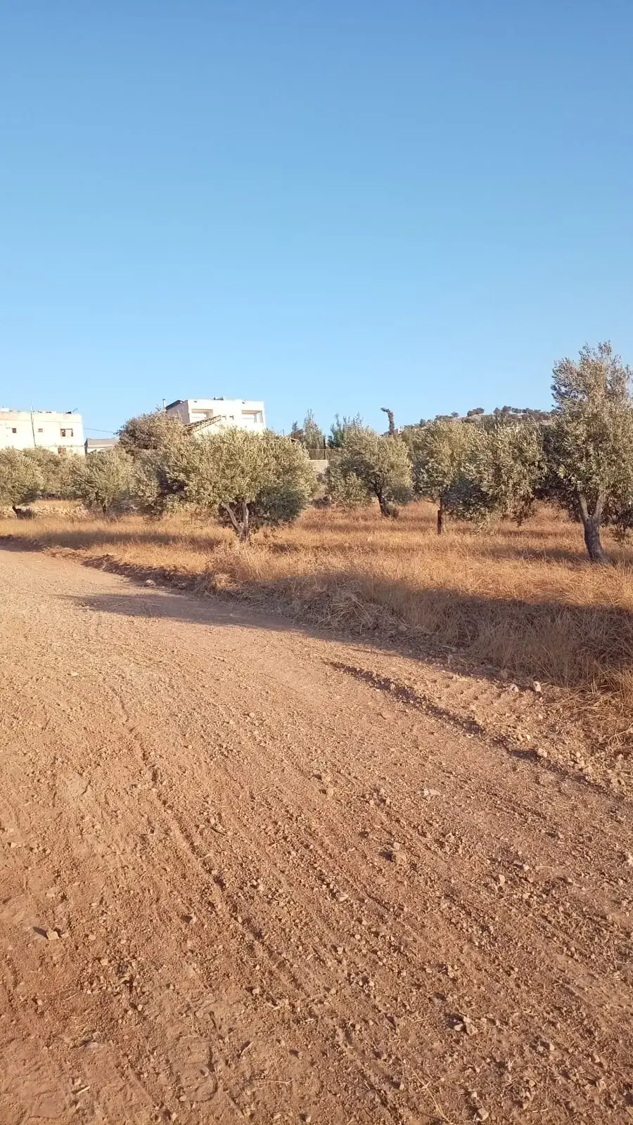 Land for sale in Marsa' – photo 15