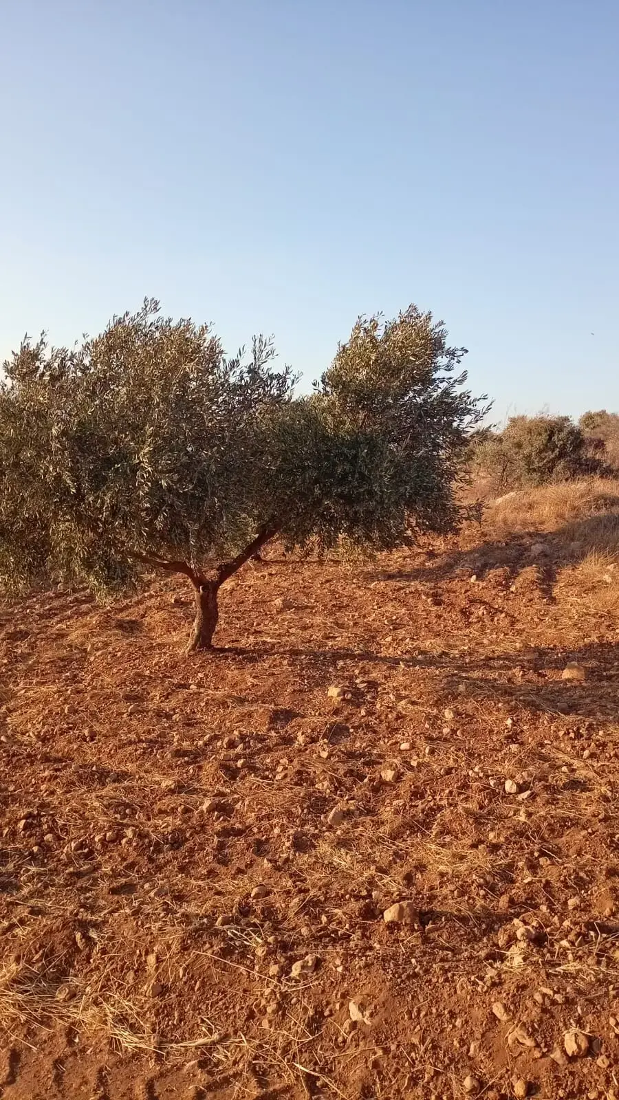 Land for sale in Marsa' – photo 9