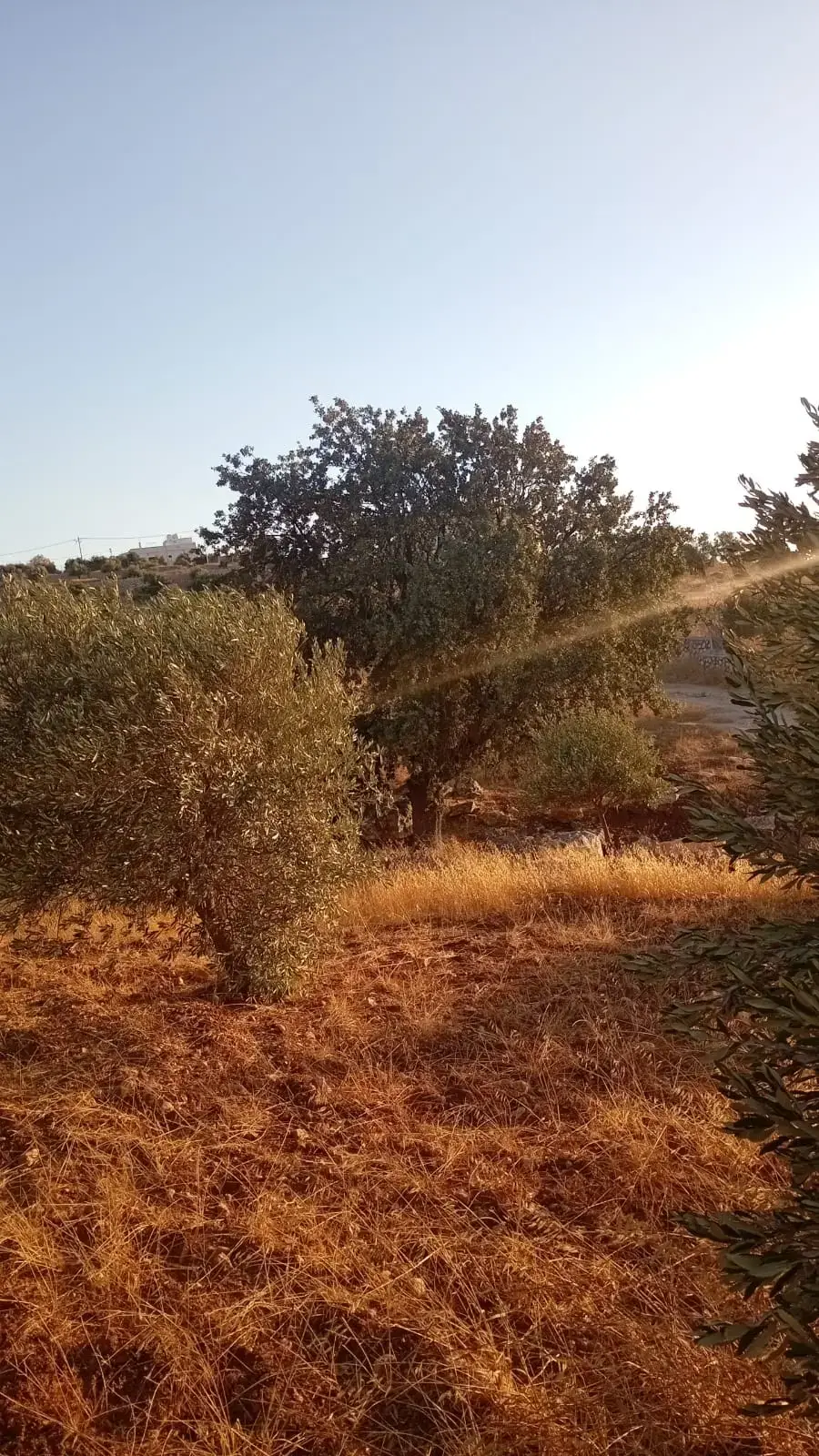 Land for sale in Marsa' – photo 4