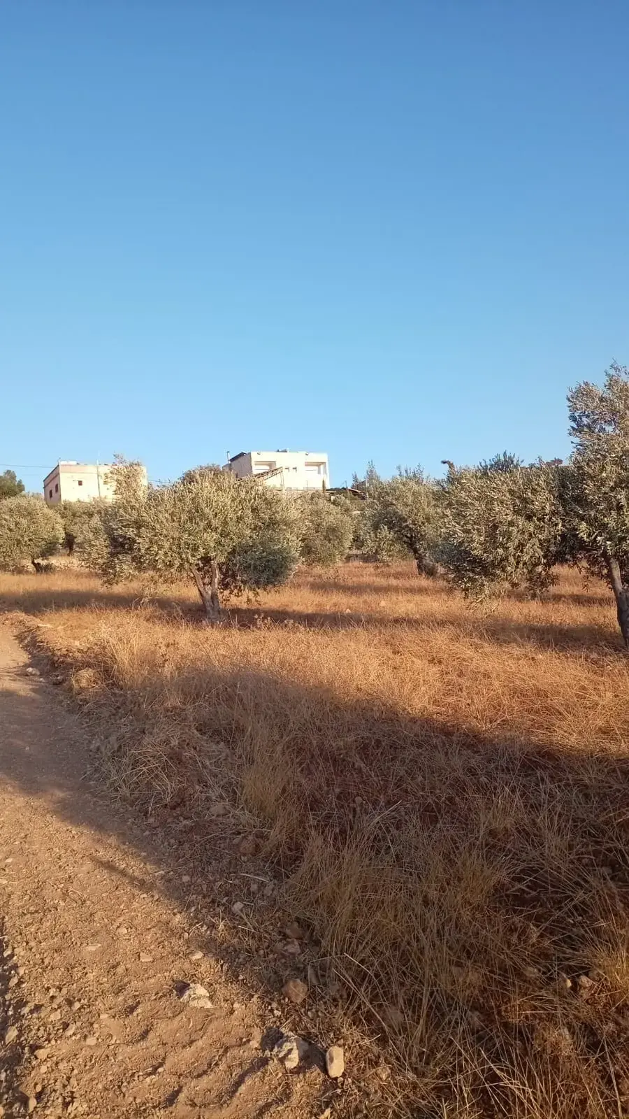 Land for sale in Marsa' – photo 6