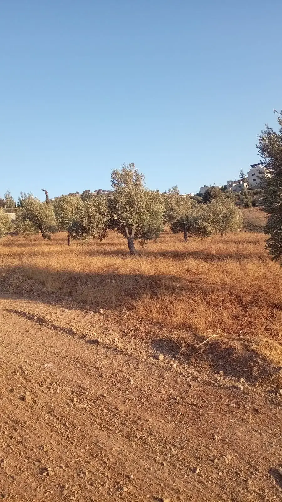 Land for sale in Marsa' – photo 14