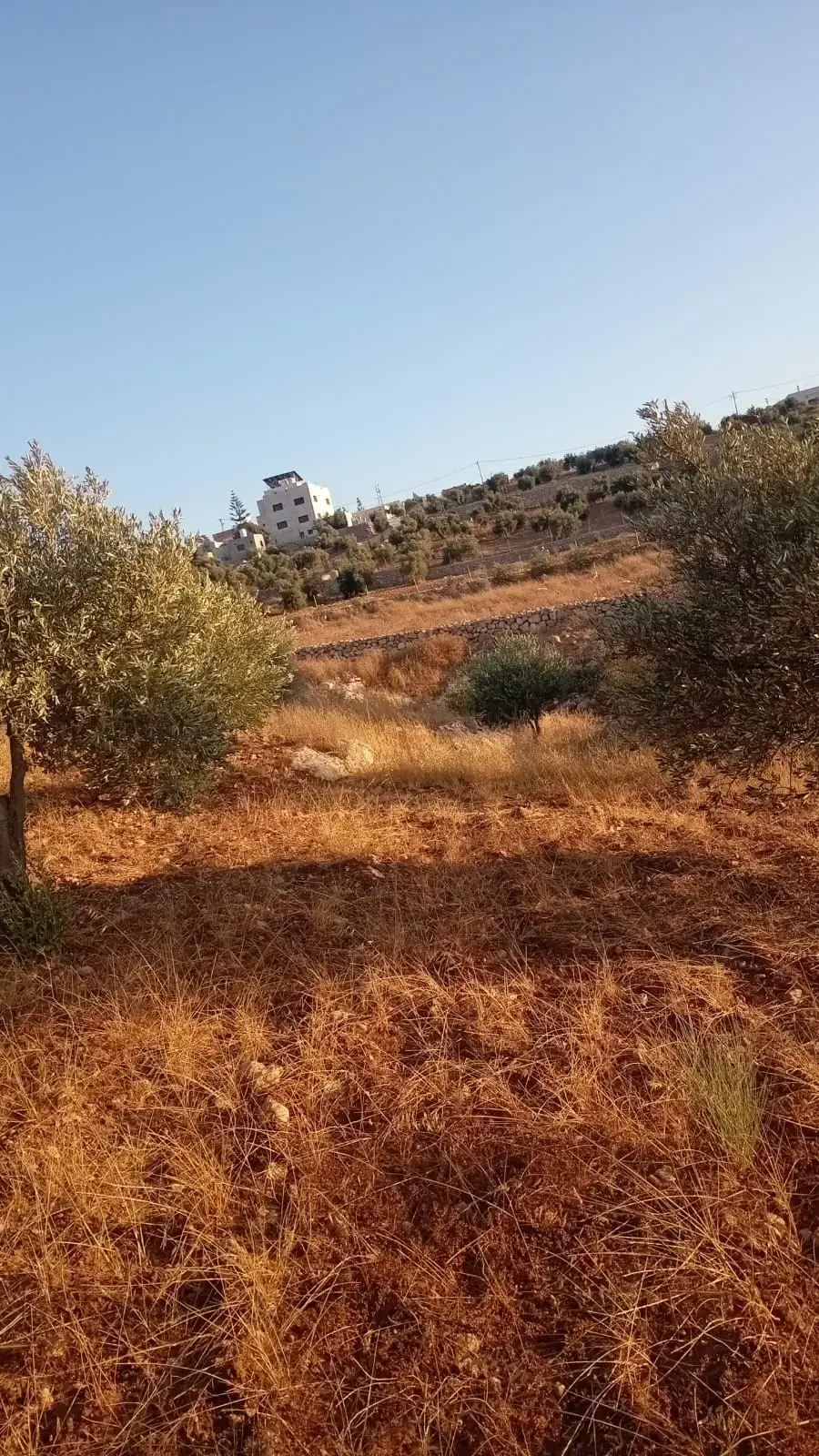 Land for sale in Marsa' – photo 3