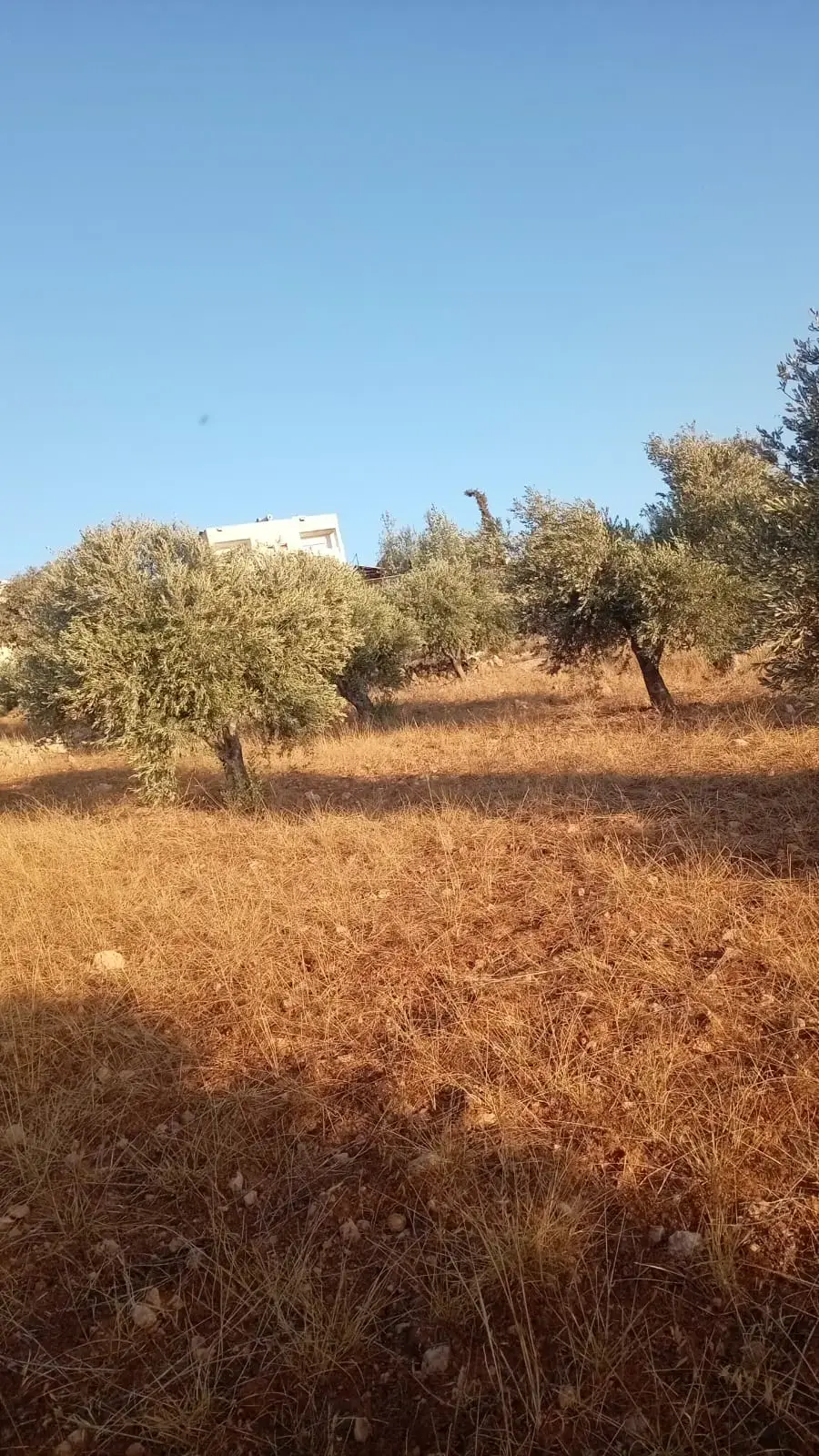 Land for sale in Marsa' – photo 2
