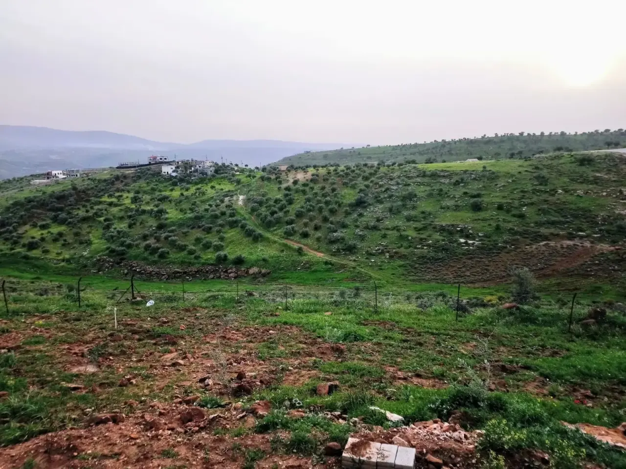 Fenced 1,050 m² high-ground plot with a room in Borma, Jerash