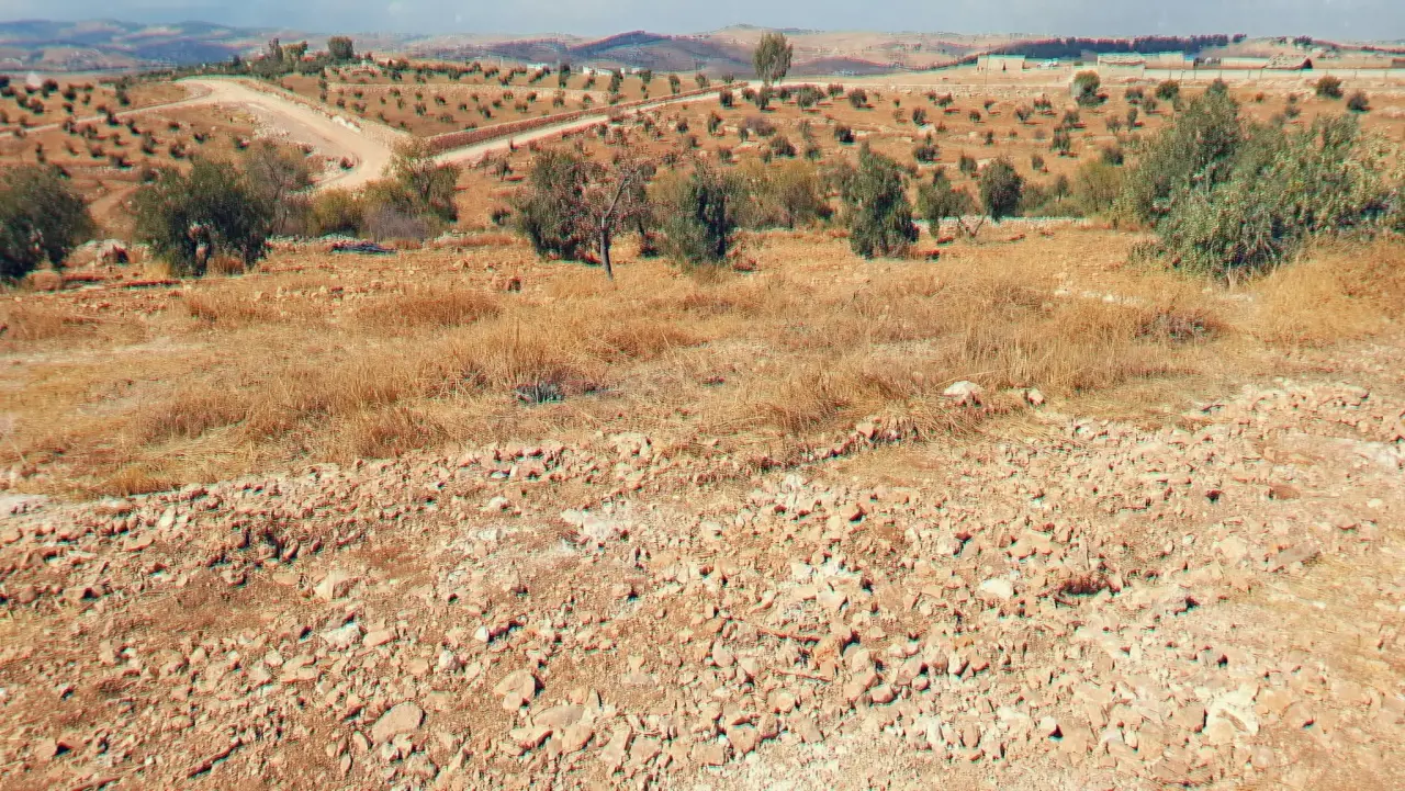 Land for sale in Dahl – photo 2