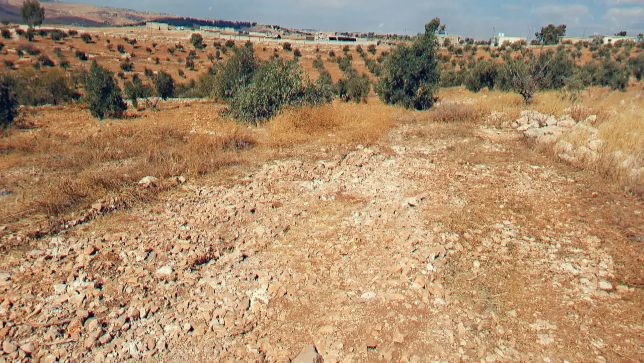 Land for sale in Dahl – photo 3