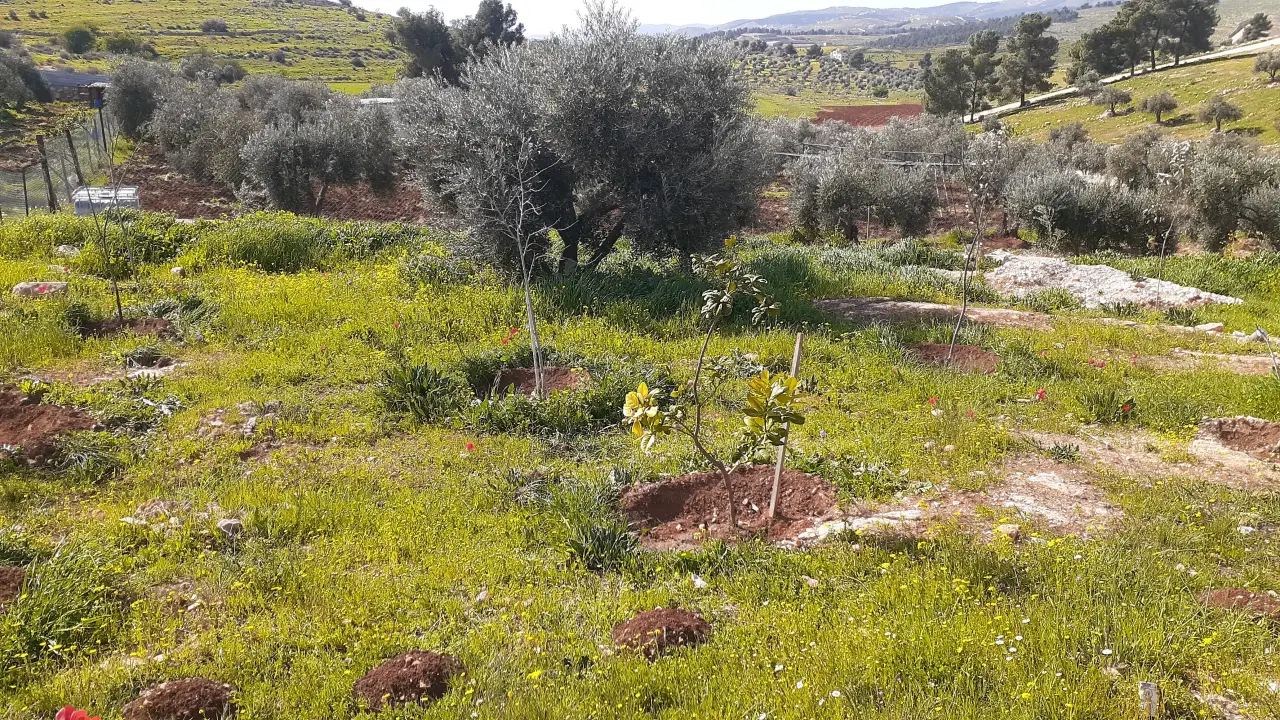 Land for sale in Dahl – photo 4