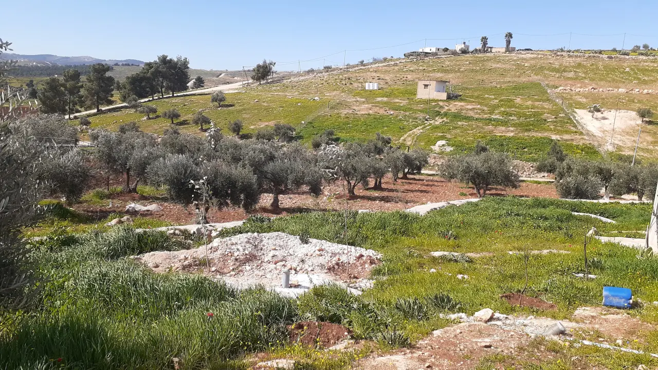 Land for sale in Dahl – photo 5