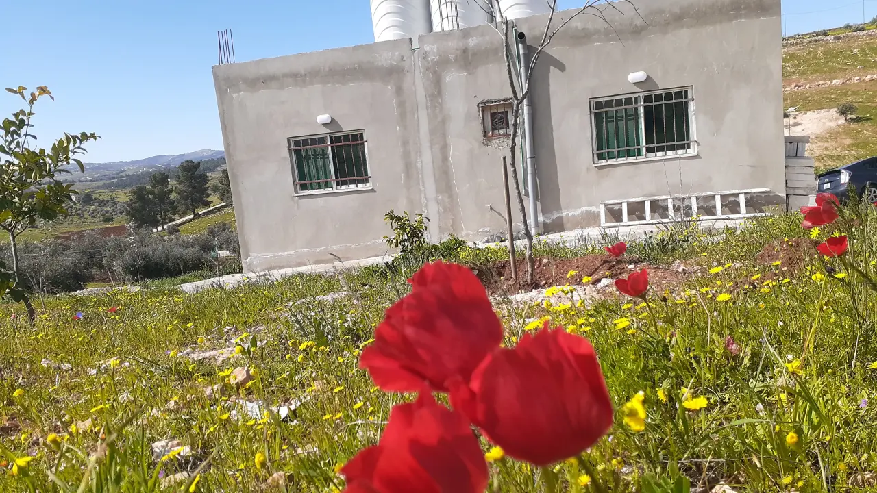 Land for sale in Dahl – photo 8
