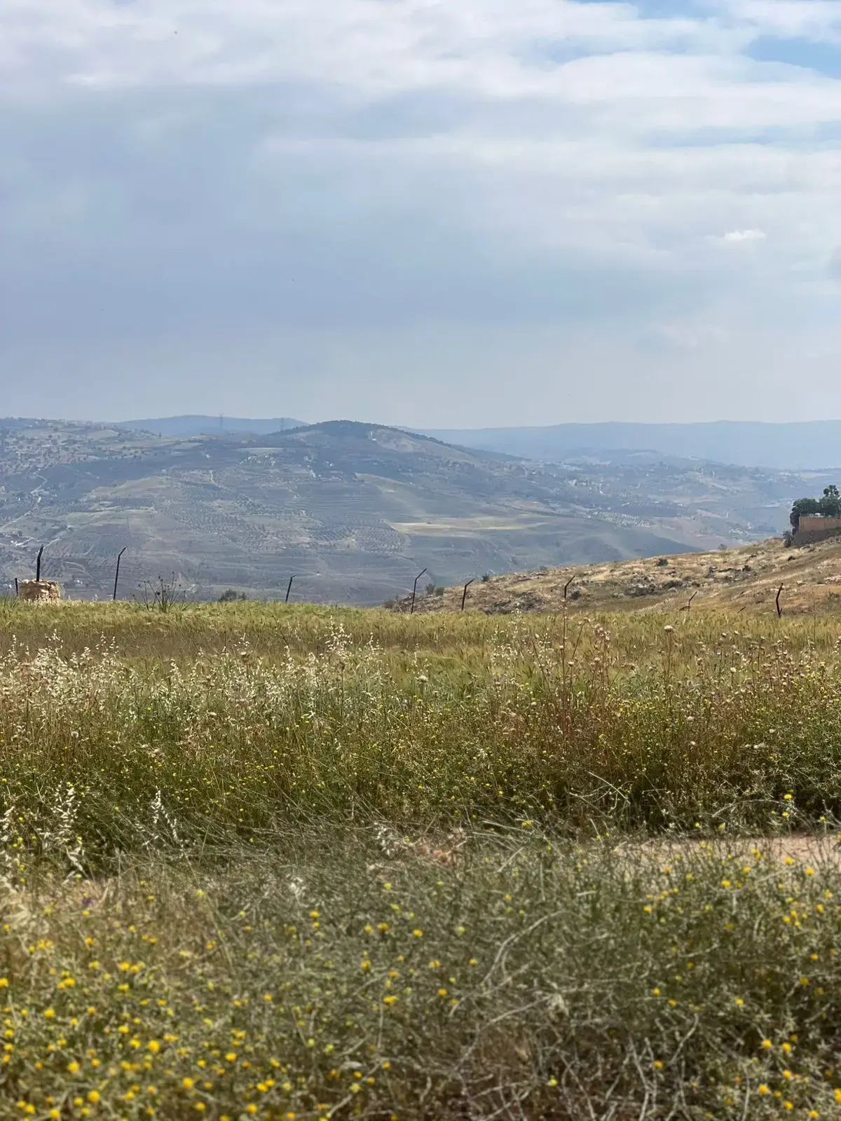 Land for sale in Al-Rashaida – photo 6