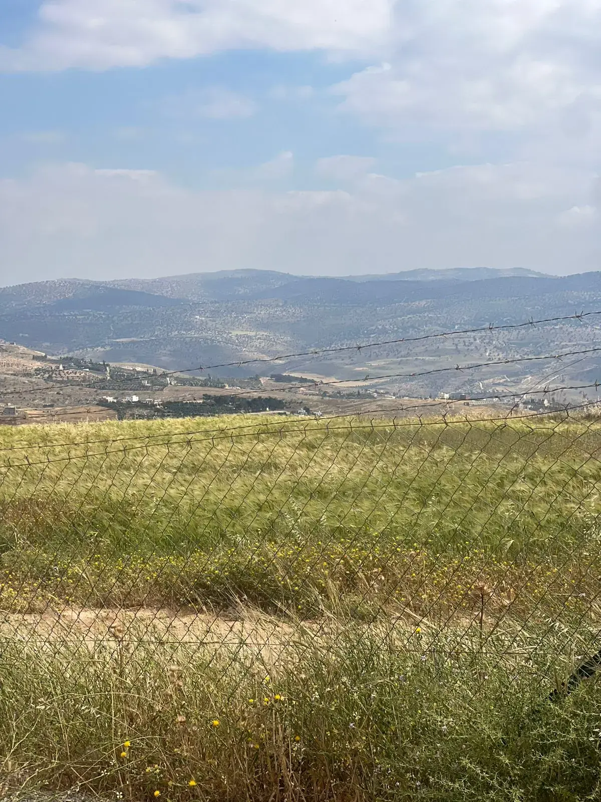 Land for sale in Al-Rashaida – photo 5