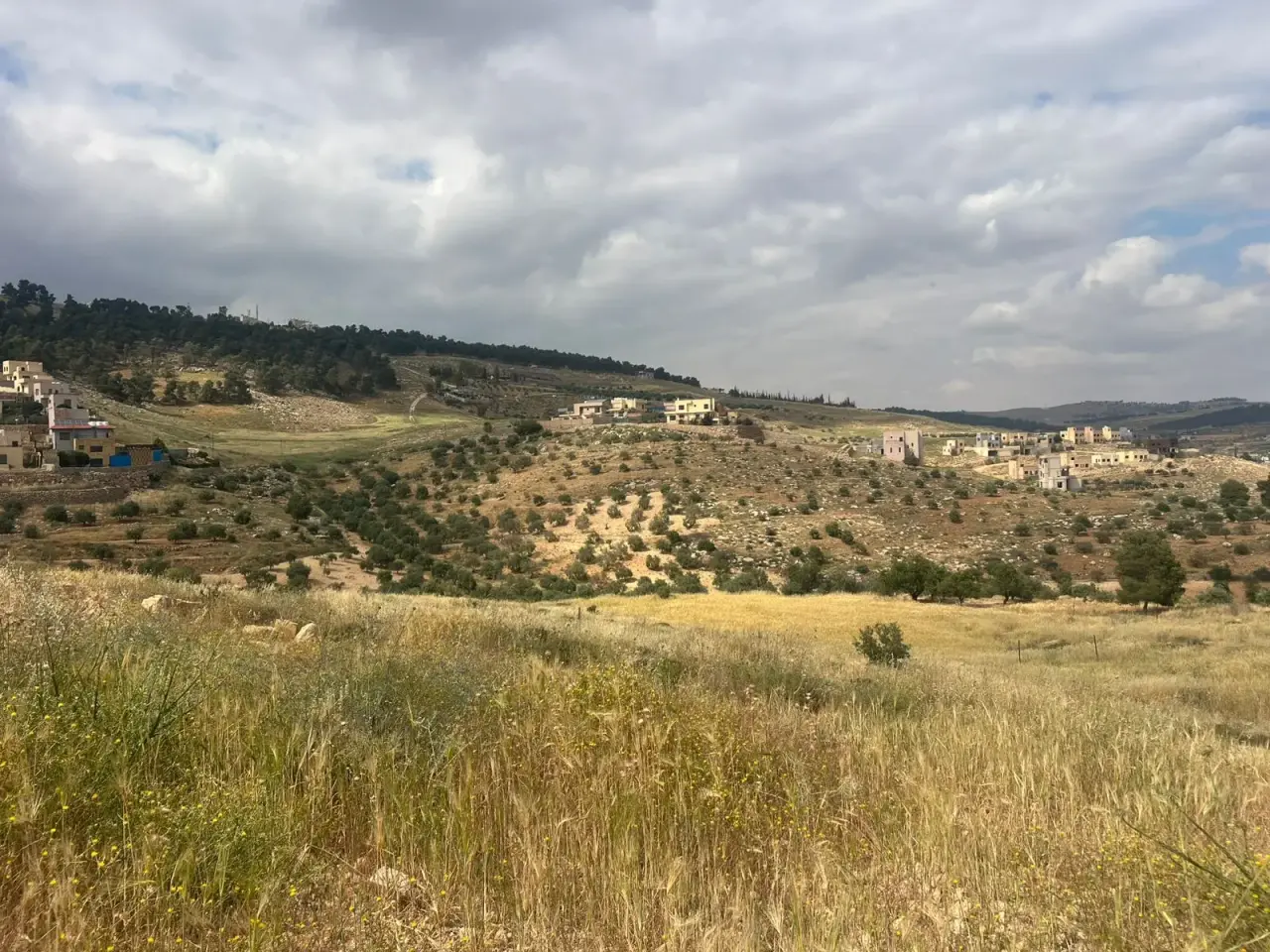 Al-Rashaida villas and chalets area, 1,800 m² plot near Rawabi Jerash chalets