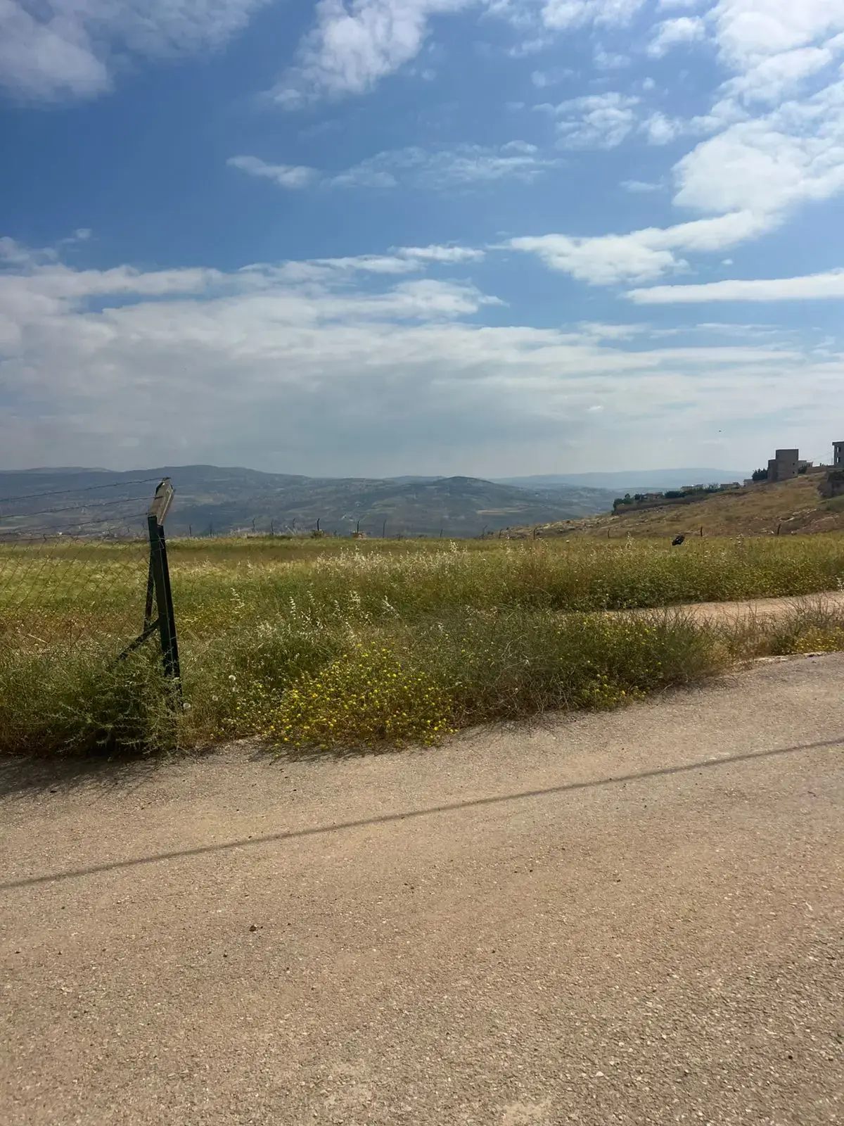 Land for sale in Al-Rashaida – photo 10