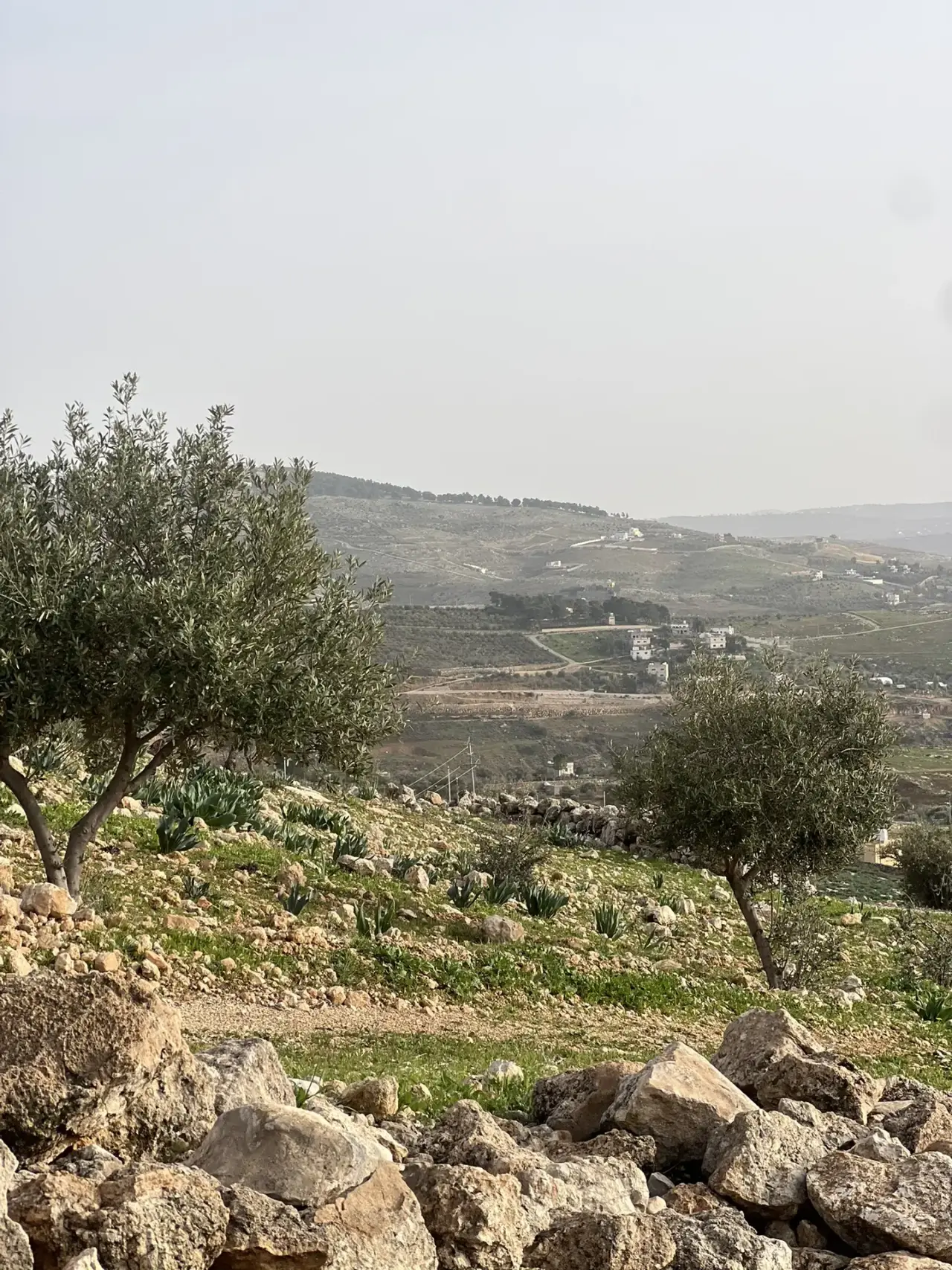 أرض للبيع في Al-Rashaida – صورة 12