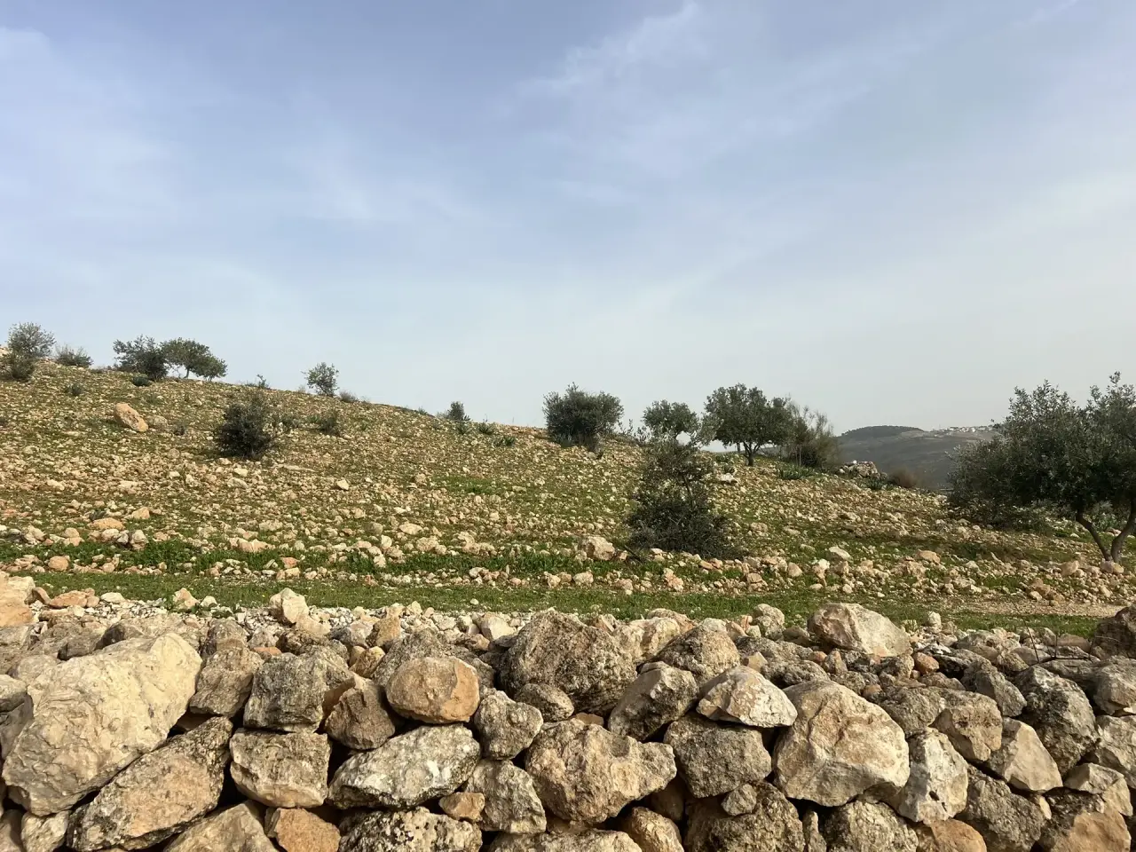 أرض للبيع في Al-Rashaida – صورة 8