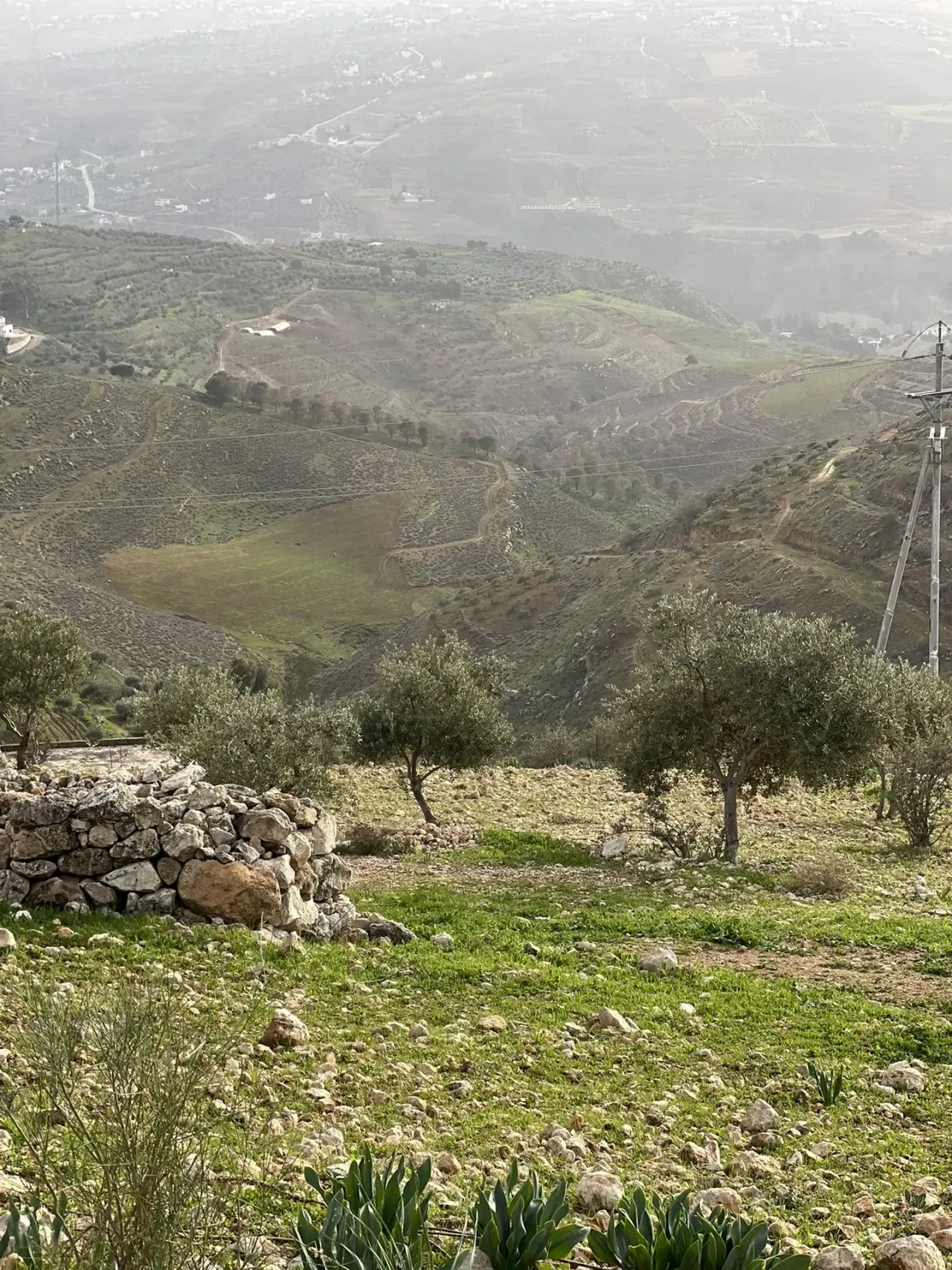 أرض للبيع في Al-Rashaida – صورة 3