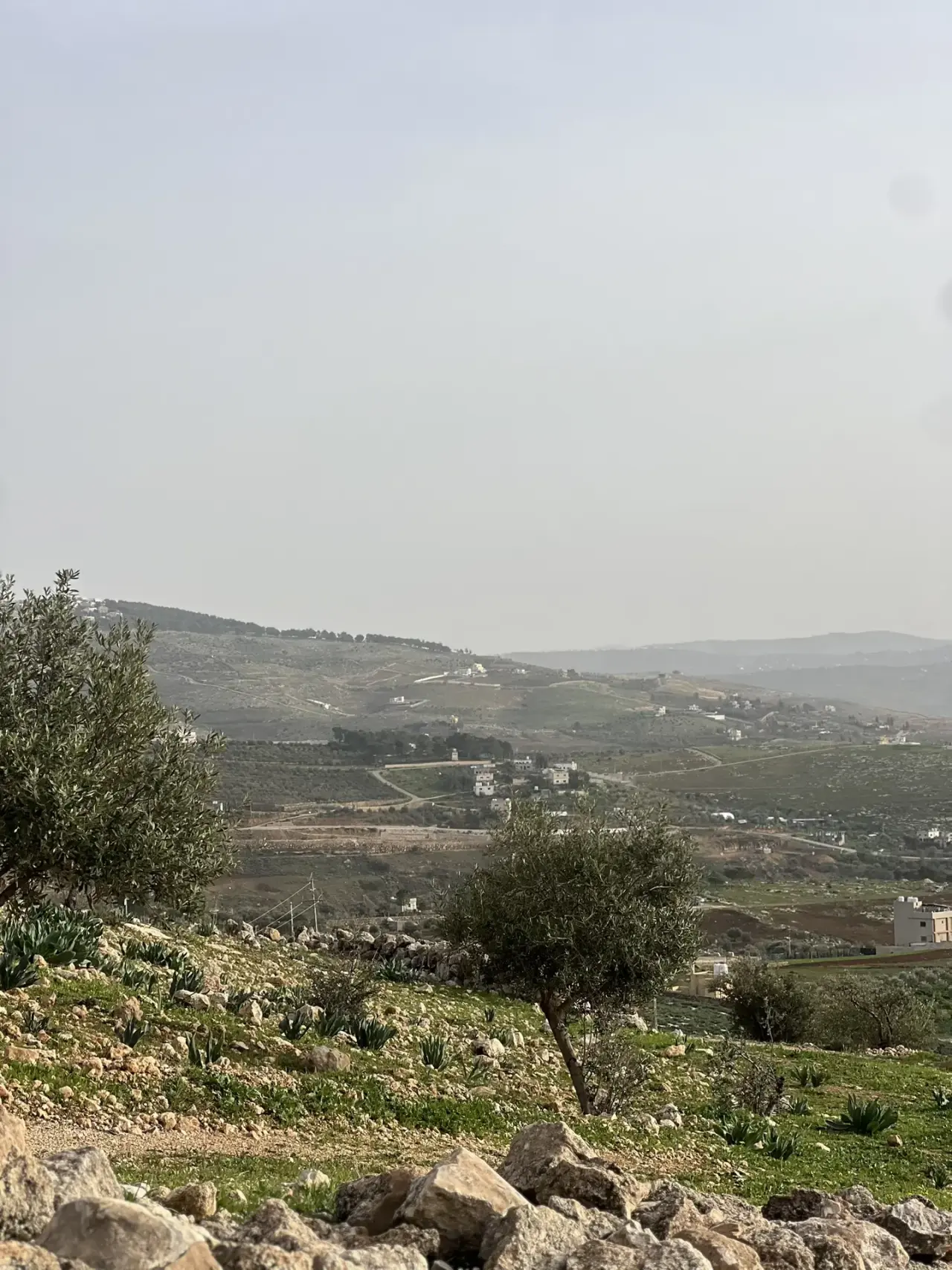 أرض للبيع في Al-Rashaida – صورة 15