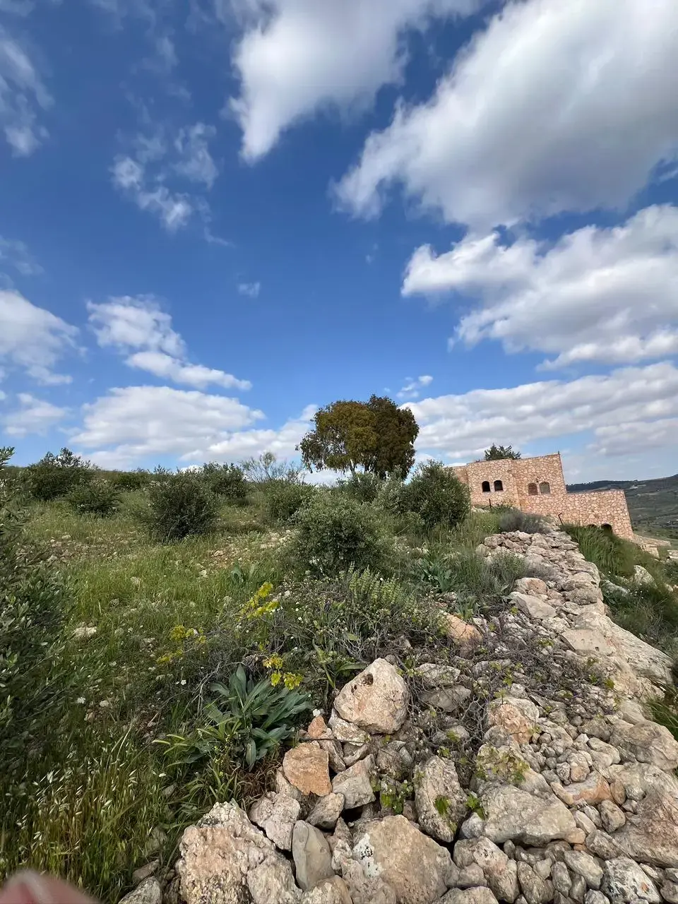 Land for sale in Al-Rashaida – photo 8