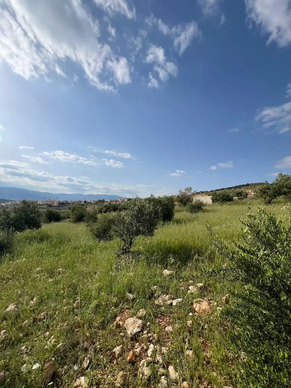 Land for sale in Al-Rashaida – photo 3