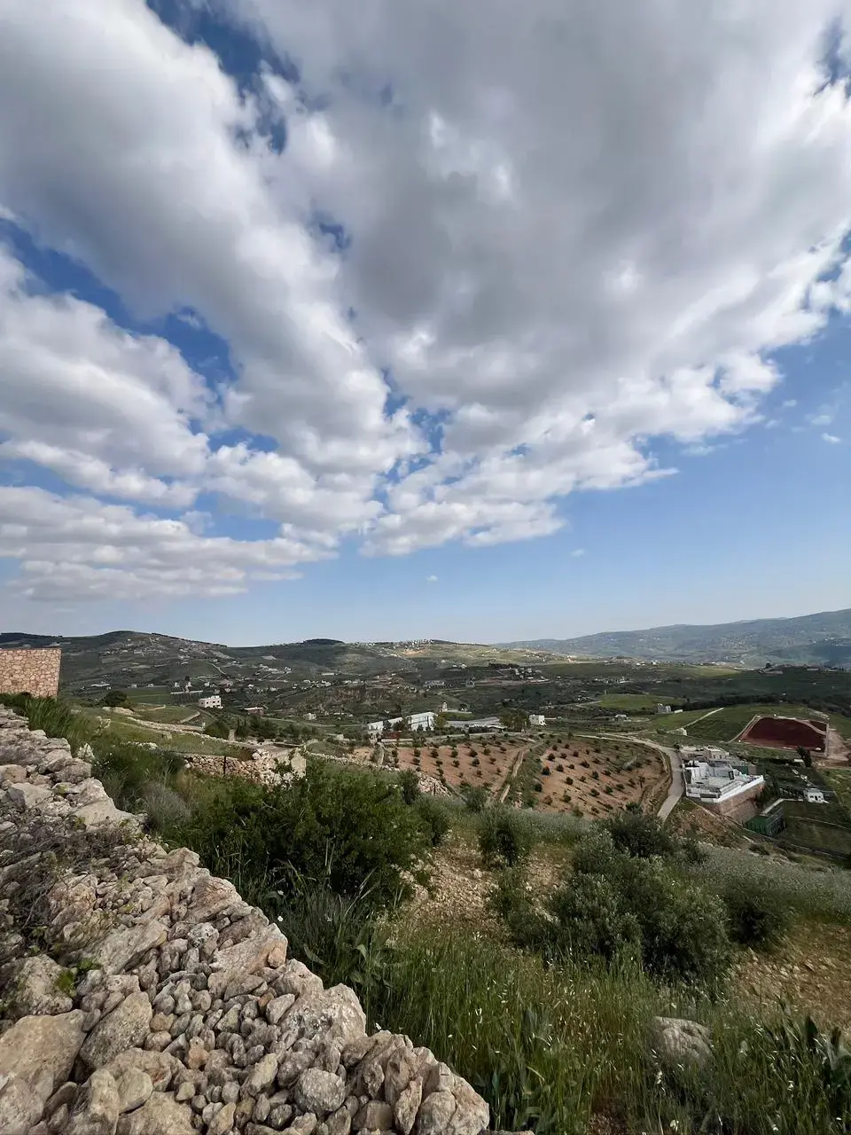 Land for sale in Al-Rashaida – photo 11