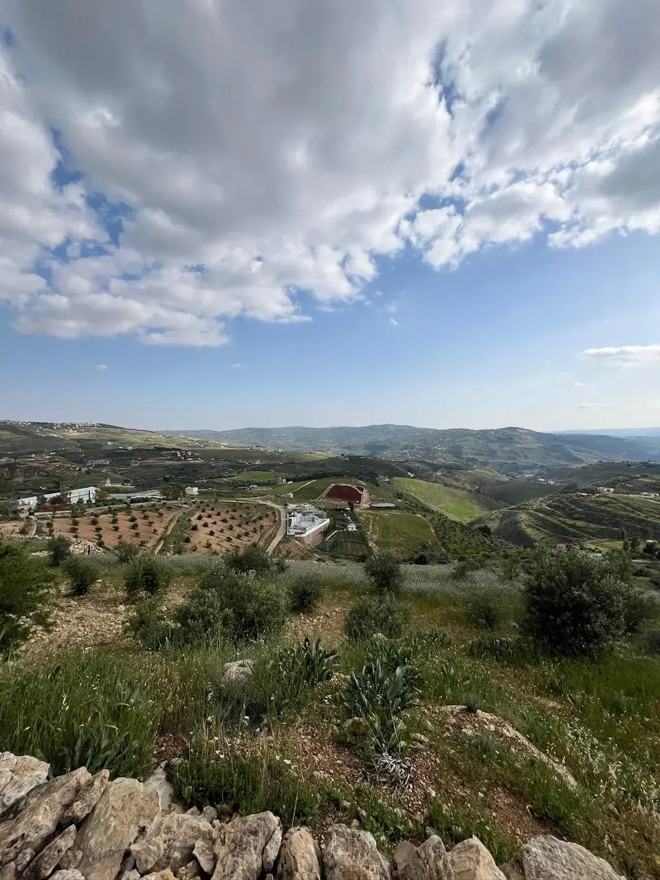 Land for sale in Al-Rashaida – photo 7