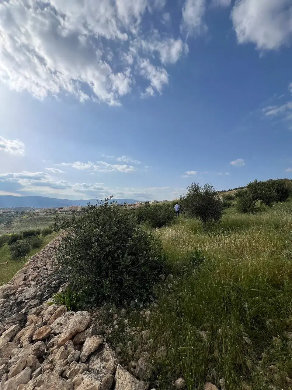 Land for sale in Al-Rashaida – photo 9
