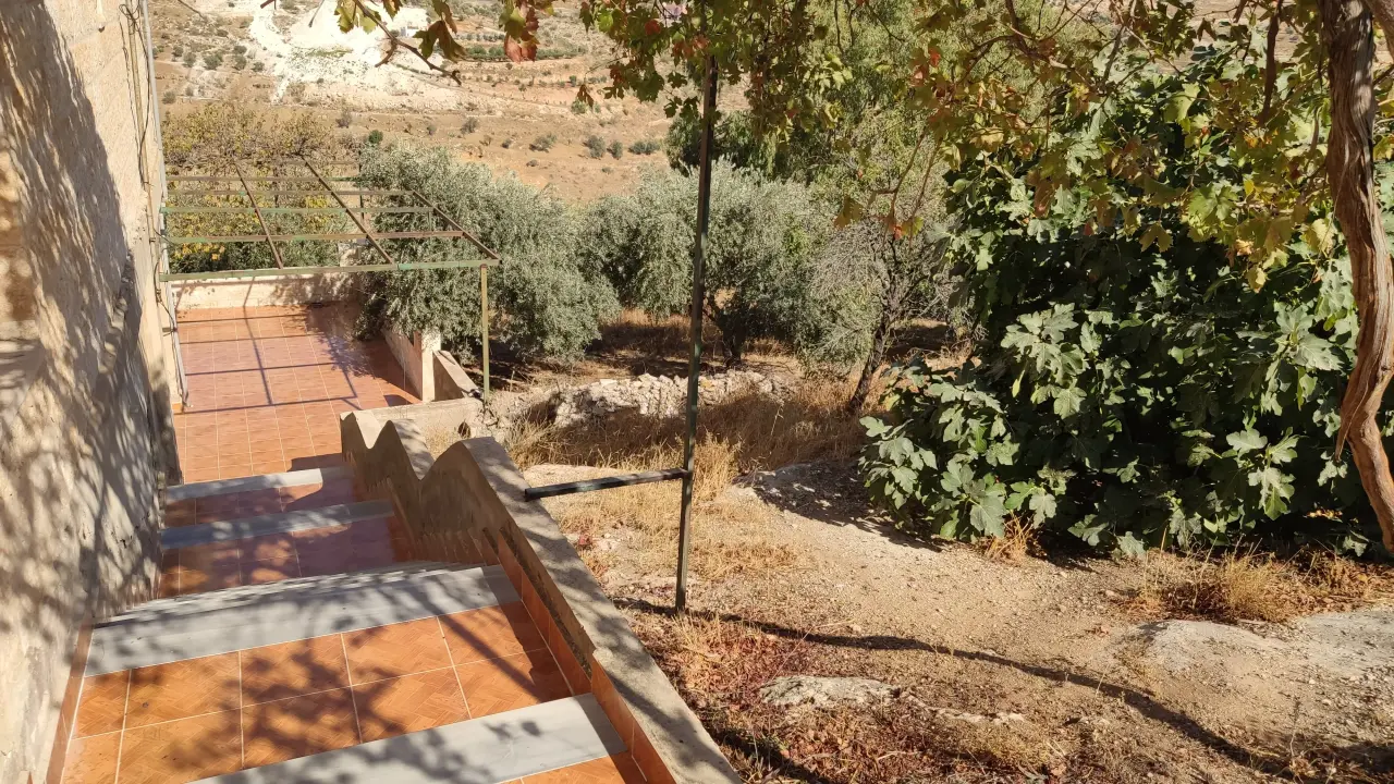 Land for sale in Al-Kittah – photo 10