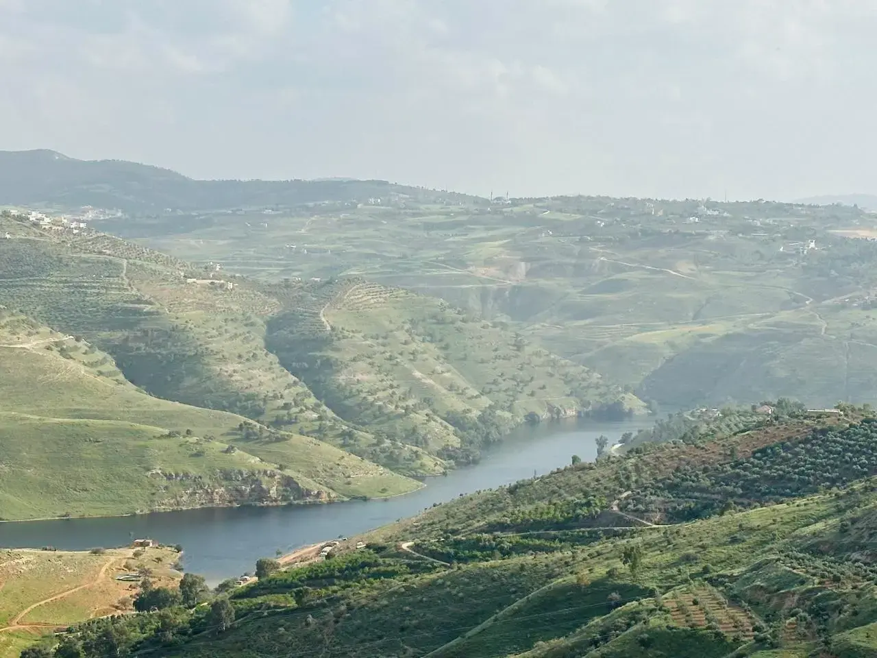 أرض للبيع في Al-Majdal – صورة 16