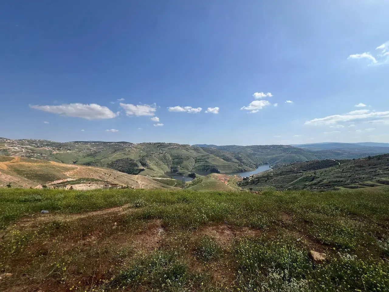 أرض للبيع في Al-Majdal – صورة 10