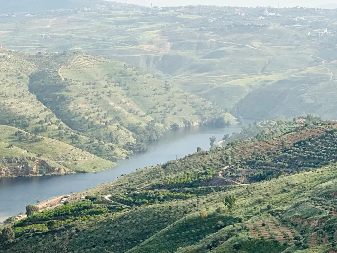 أرض للبيع في Al-Majdal – صورة 17