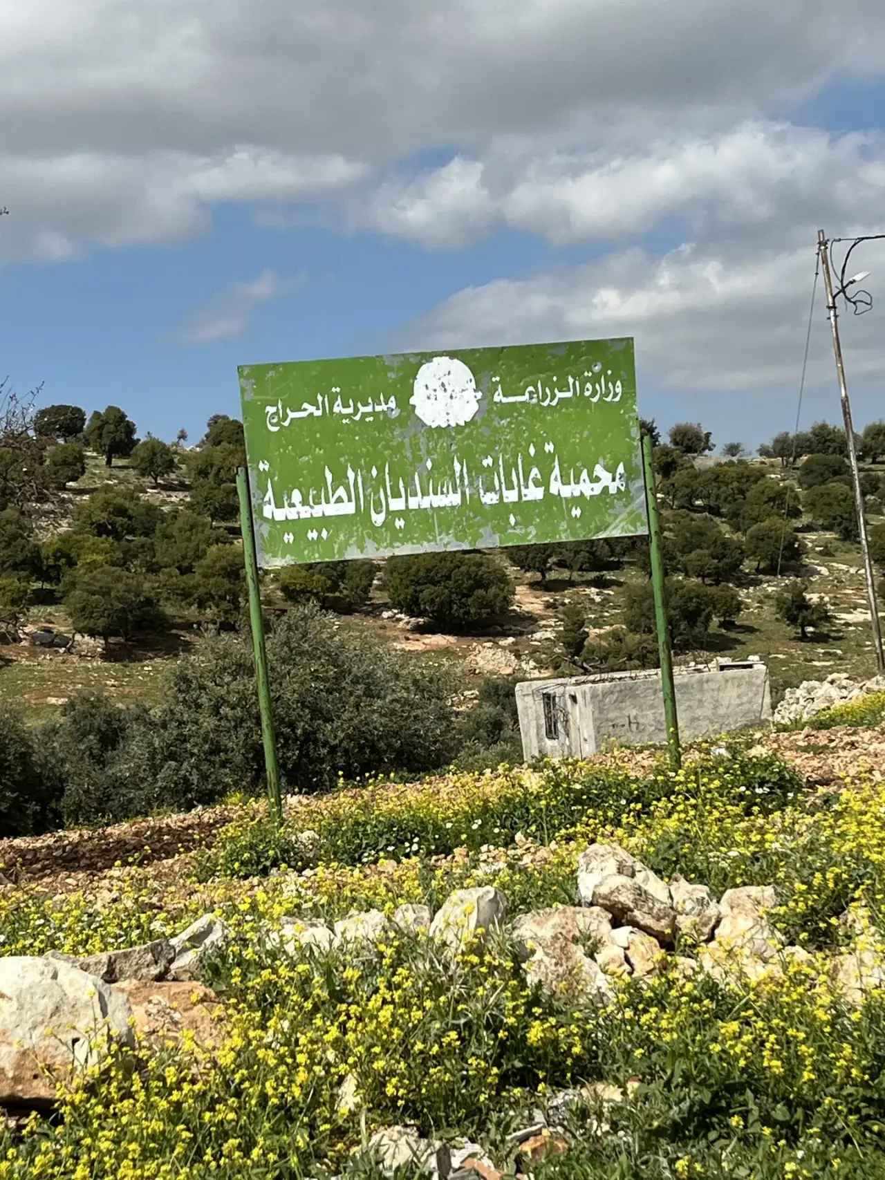 Land for sale in Kufor Khal – photo 4