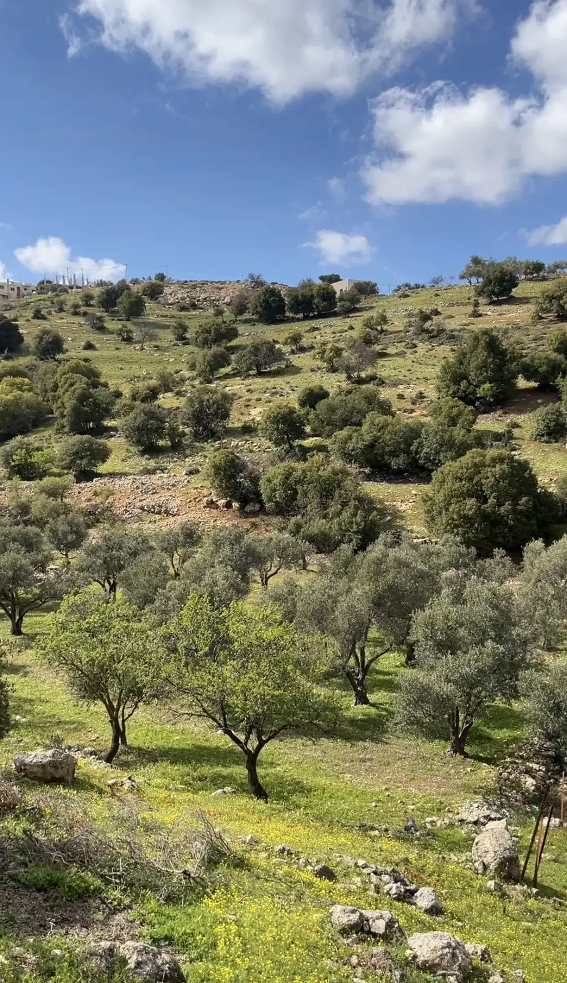 Land for sale in Kufor Khal – photo 5