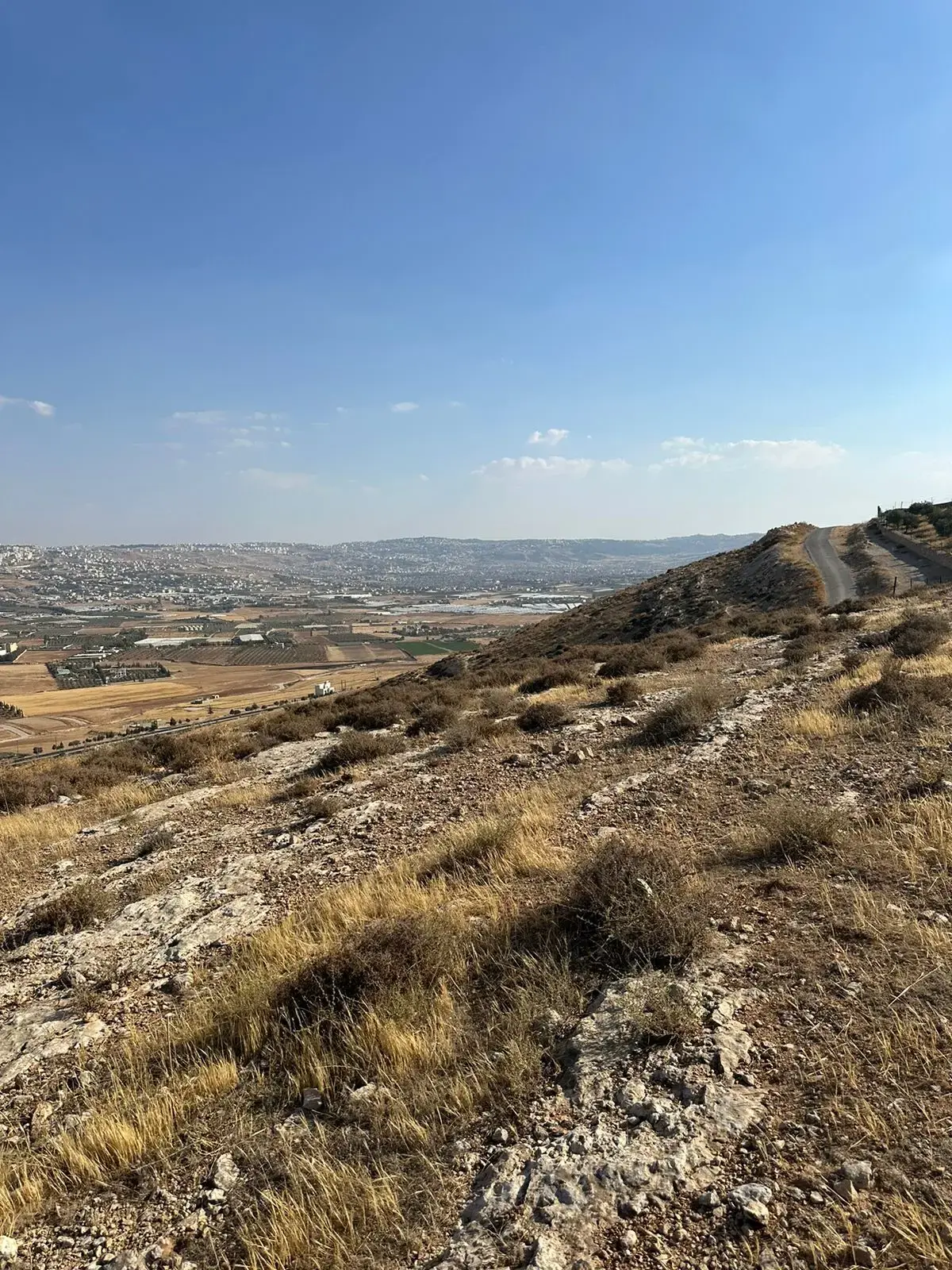 Land for sale in Salhoub – photo 5