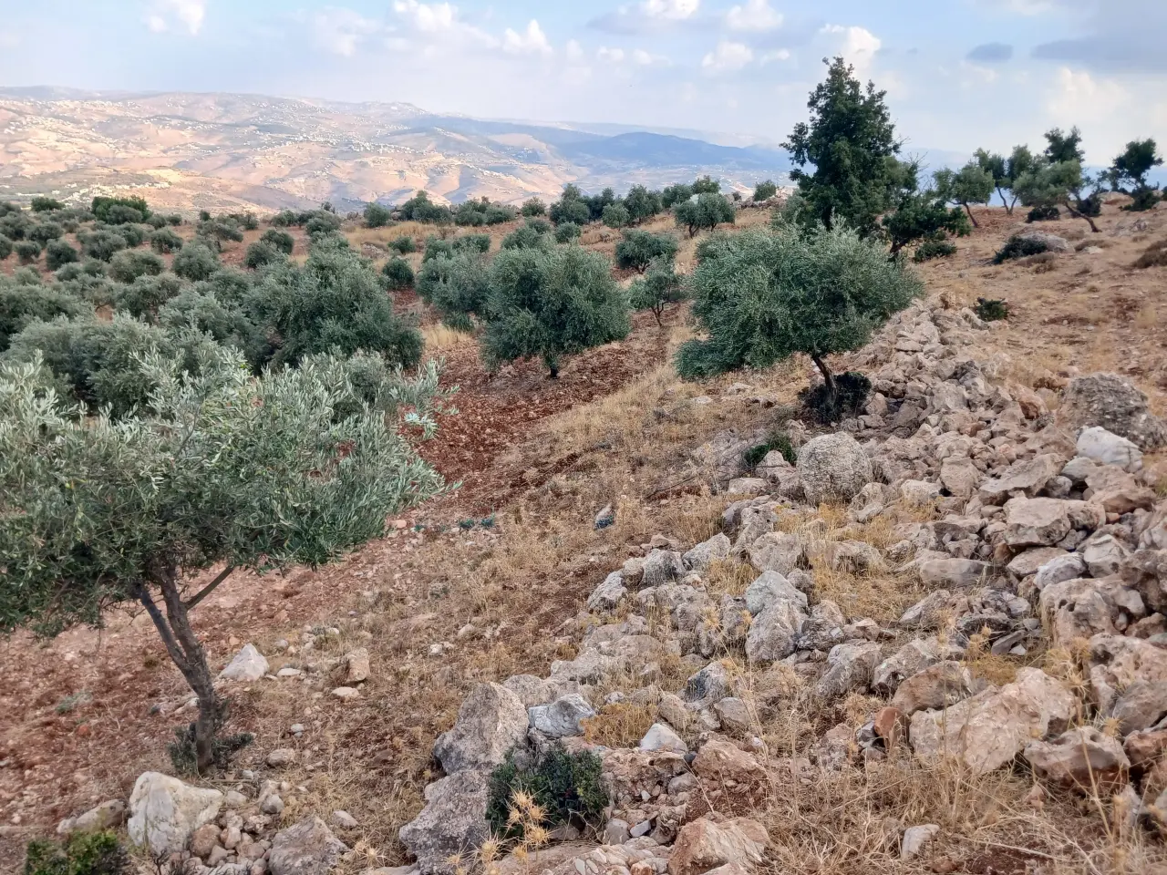 Land for sale in Debbin – photo 11