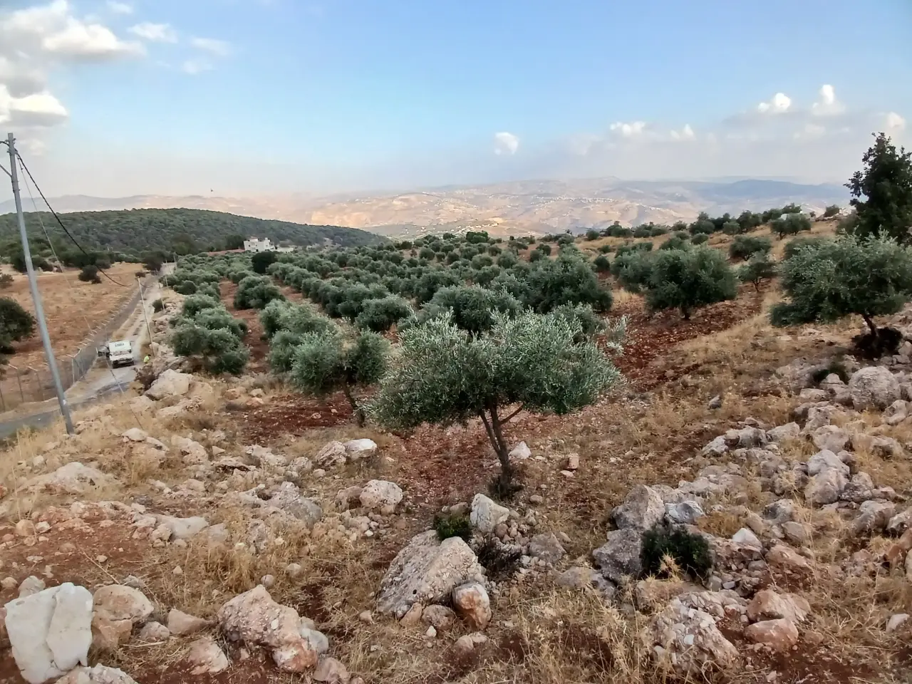 Land for sale in Debbin – photo 13