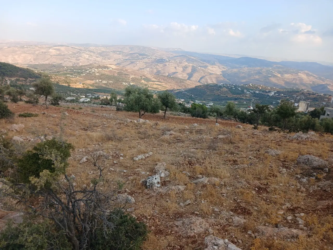 Land for sale in Debbin – photo 8