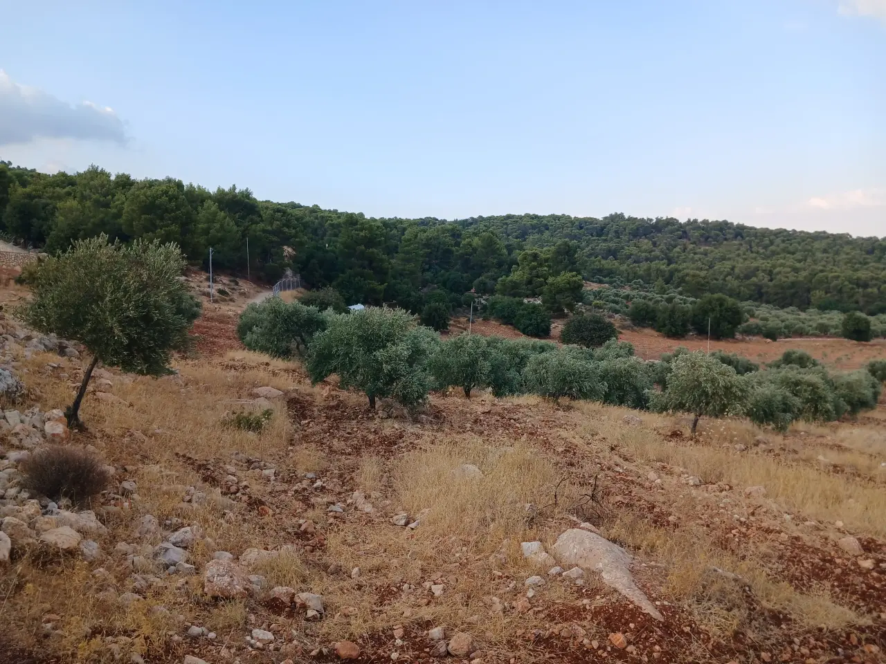 Land for sale in Debbin – photo 6