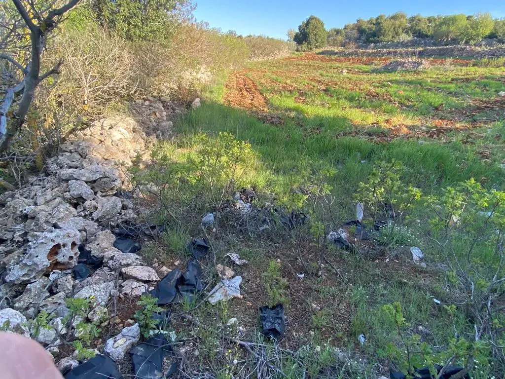 Land for sale in Other – photo 4