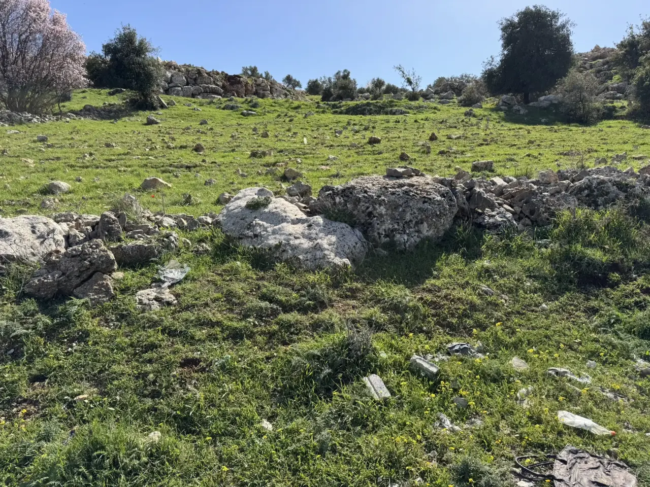 Land for sale in Sakhra – photo 6