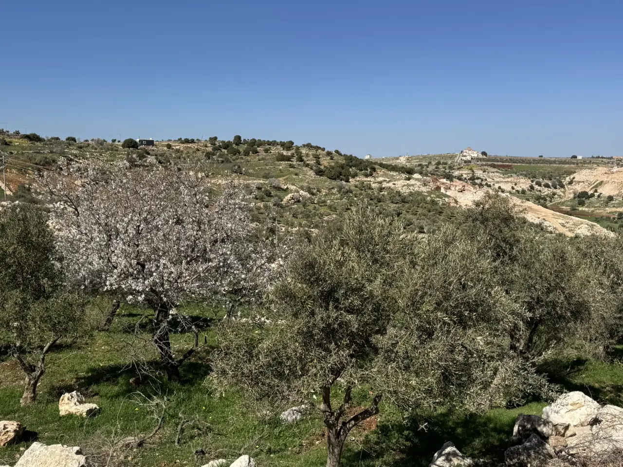 Land for sale in Sakhra – photo 2
